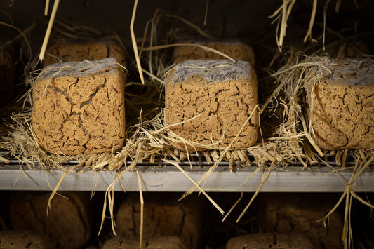 The Process in which Wangshin Doenjang is made