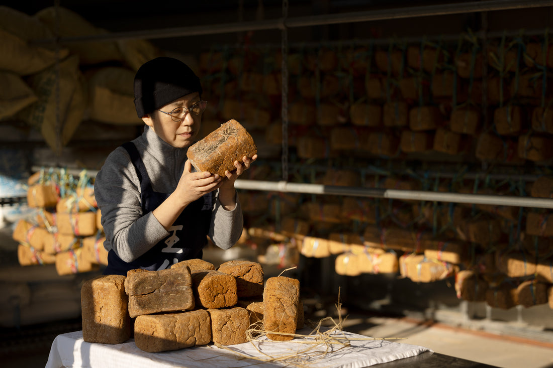 Meju Fermentation: Where Korean Tradition Meets Healthy Eating